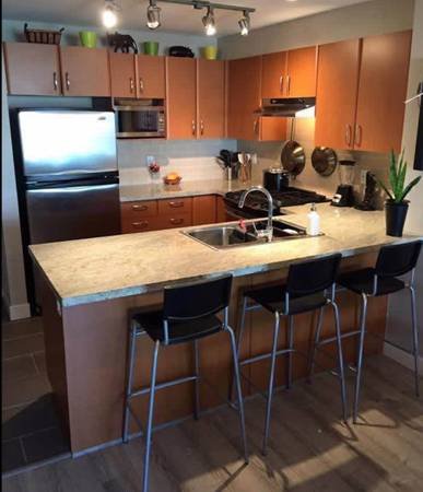 2 Bedroom Apartment for Rent - 4728 Dawson Street, Burnaby, BC 3