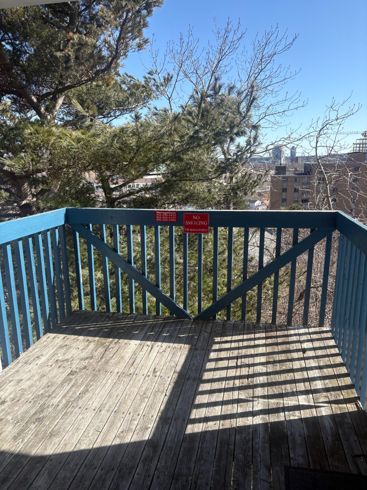 2 Bedroom Apartment for Rent - 52 Main Ave, Halifax, NS 5