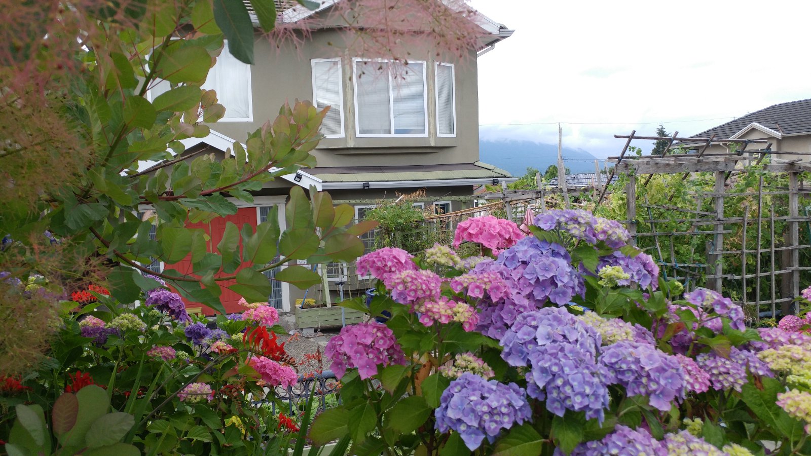2 Bedroom Garden Suite for Rent - 4 XXX Oxford Street North Burnaby BC, Burnaby, BC 4