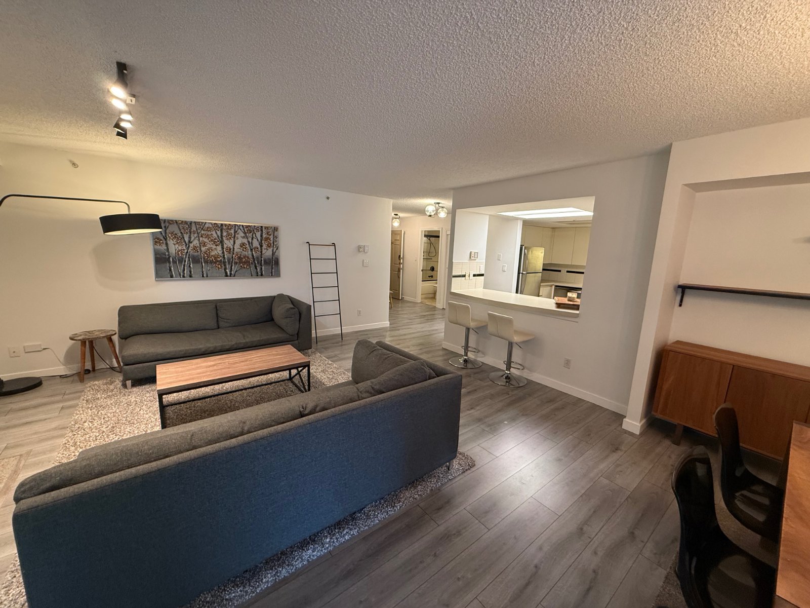 3 Bedroom Apartment for Rent - 1188 Quebec St, Vancouver, BC 3
