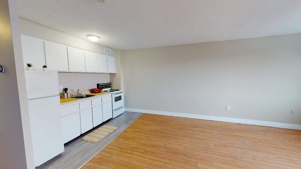 Studio Apartment for Rent - 255  Stewart Street, Ottawa, ON 2