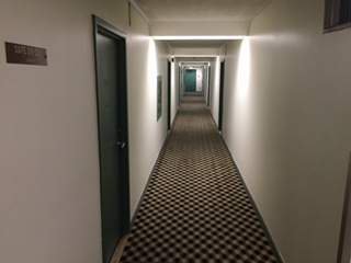 Studio Apartment for Rent - 110 Unity Rd, Toronto, ON 5