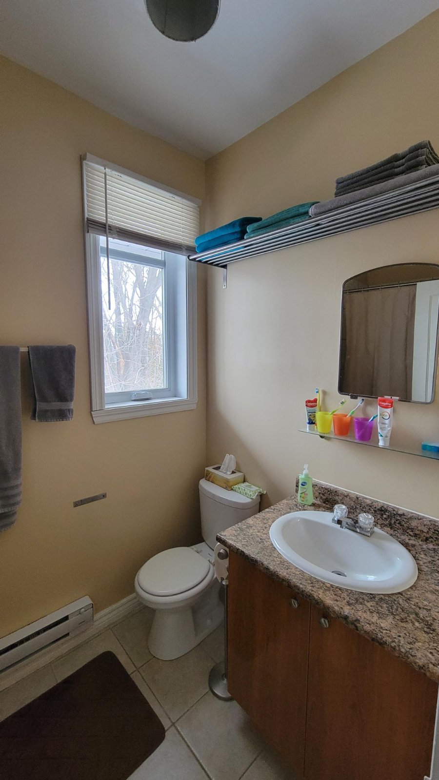 Room in Apartment for Rent - 2 Rue Lamarche, Ste-Anne-de-Bellevue, QC 2
