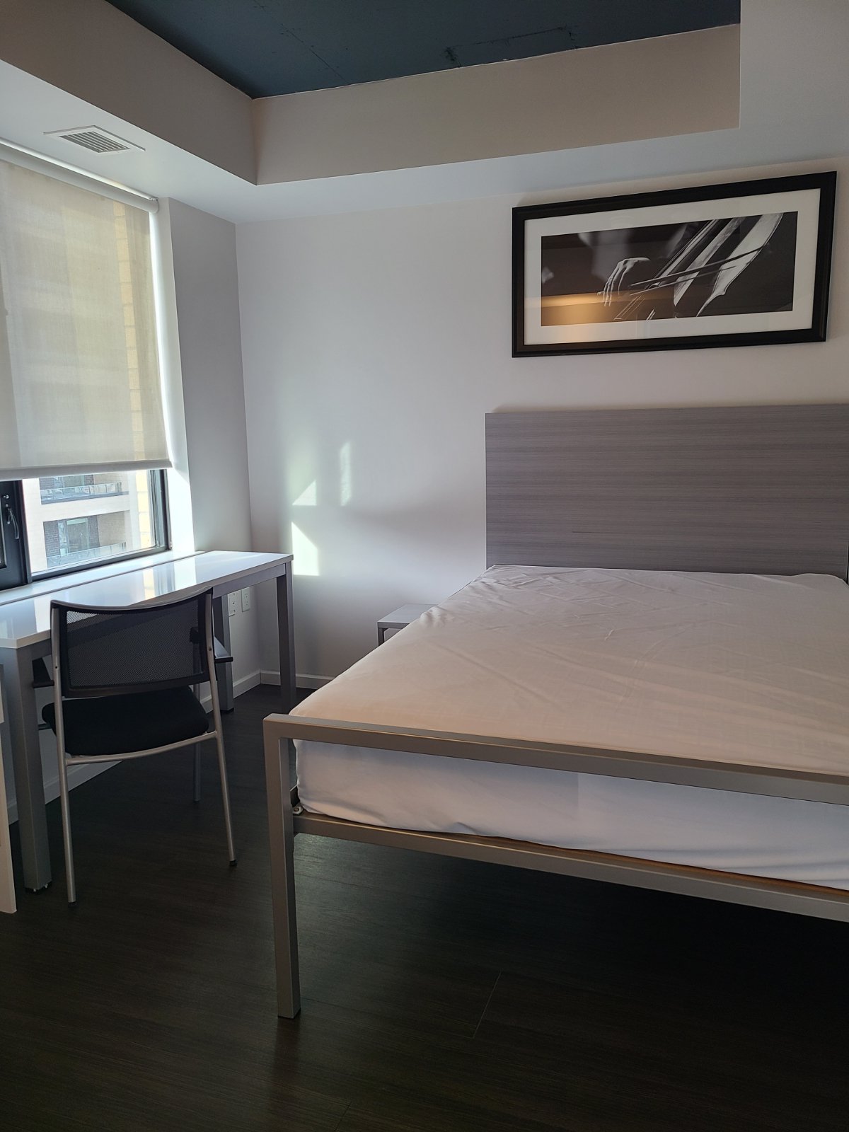 Room in Apartment for Rent - 105 Champagne Ave S, Ottawa, ON 5