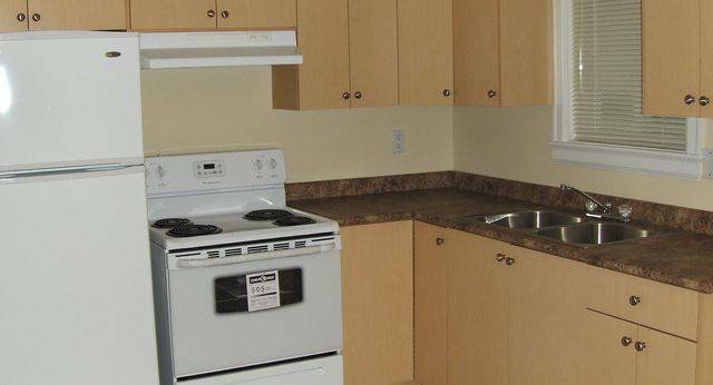 2 Bedroom Basement Suite for Rent - Sunset St, Burnaby, BC 2