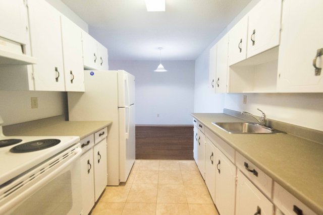 2 Bedroom Apartment for Rent - 3501 Savannah Avenue, Saanich, BC 4