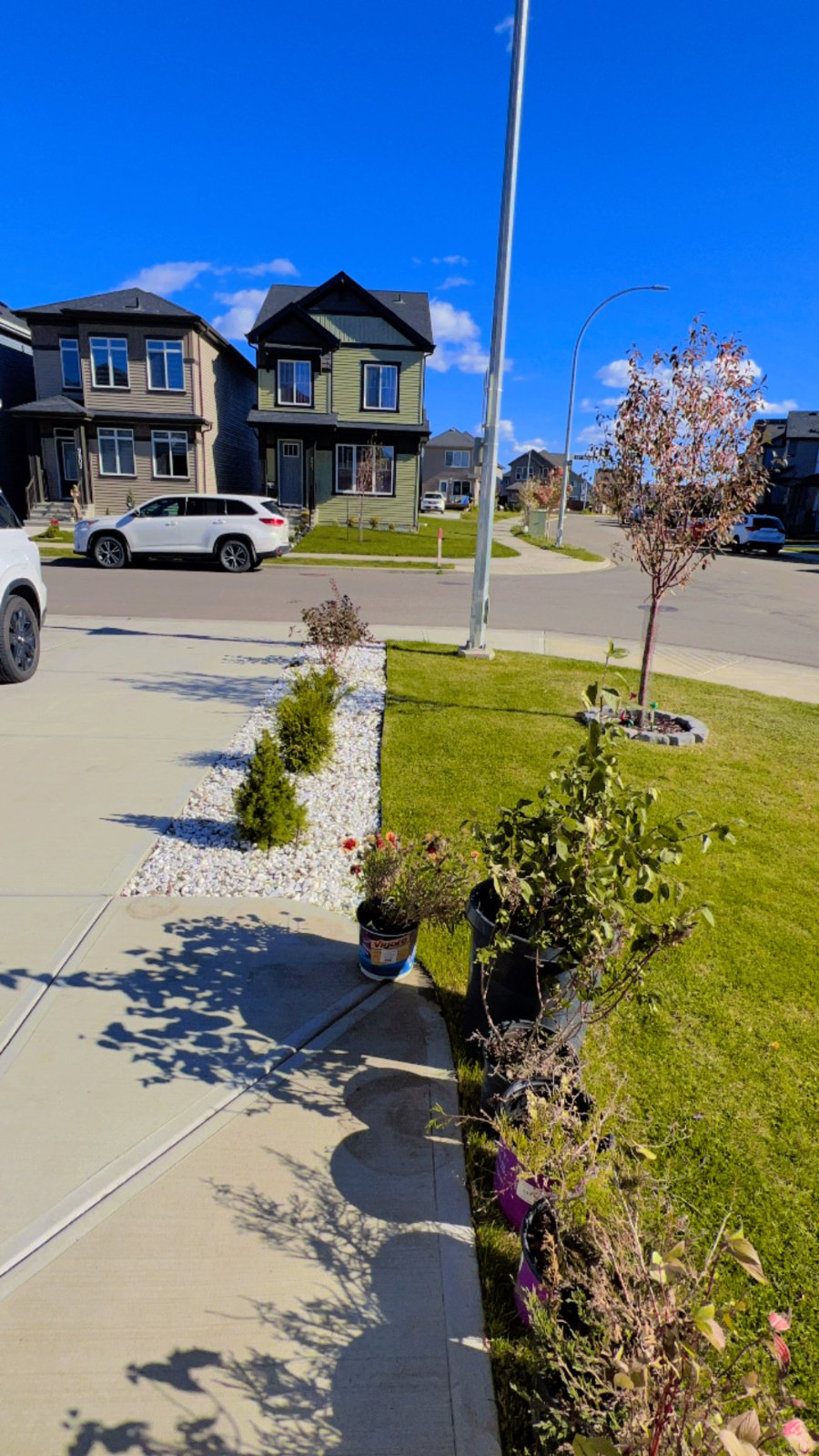 3 Bedroom House for Rent - 9804 227 St NW, Edmonton, AB 2