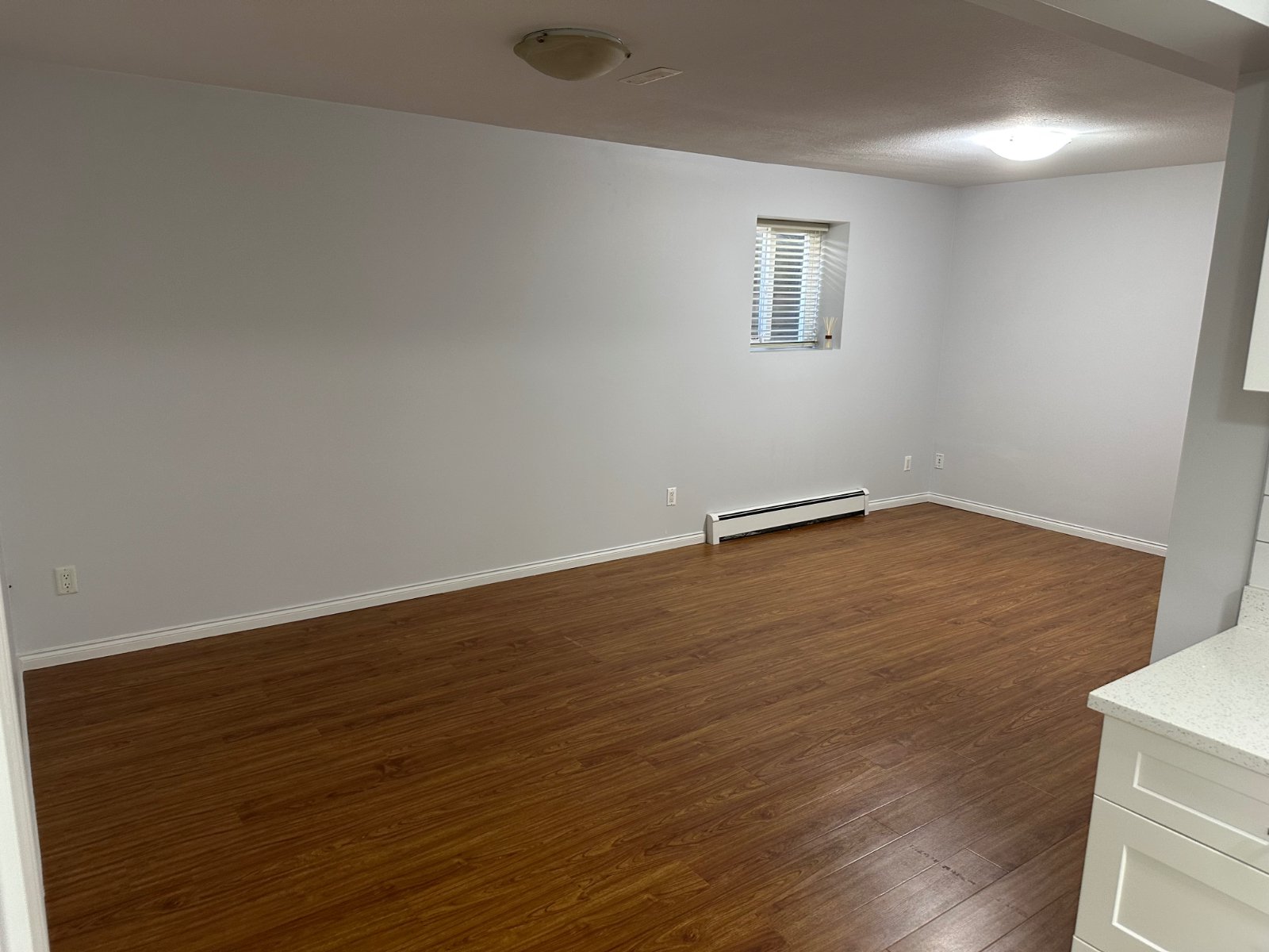 2 Bedroom Basement Suite for Rent - 148 St, Surrey, BC 3