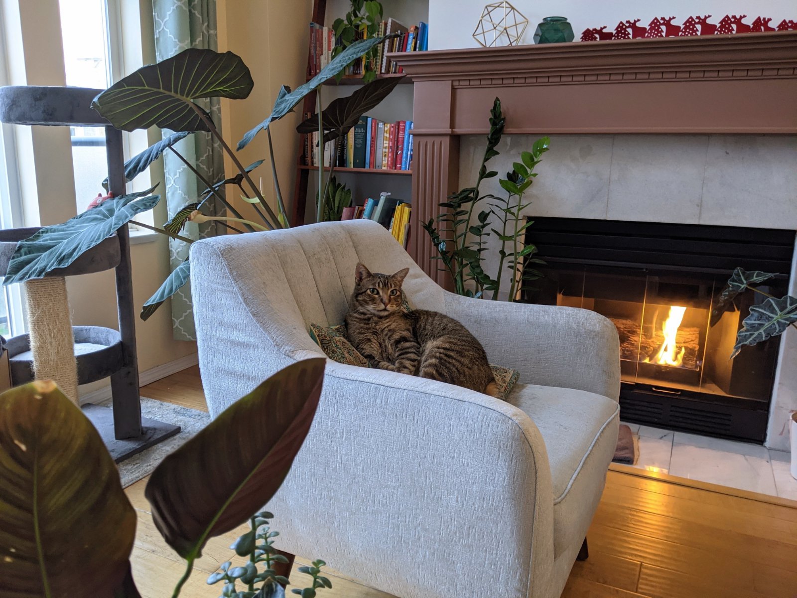 Room in Apartment for Rent - 876 W 16th Ave, Vancouver, BC 2