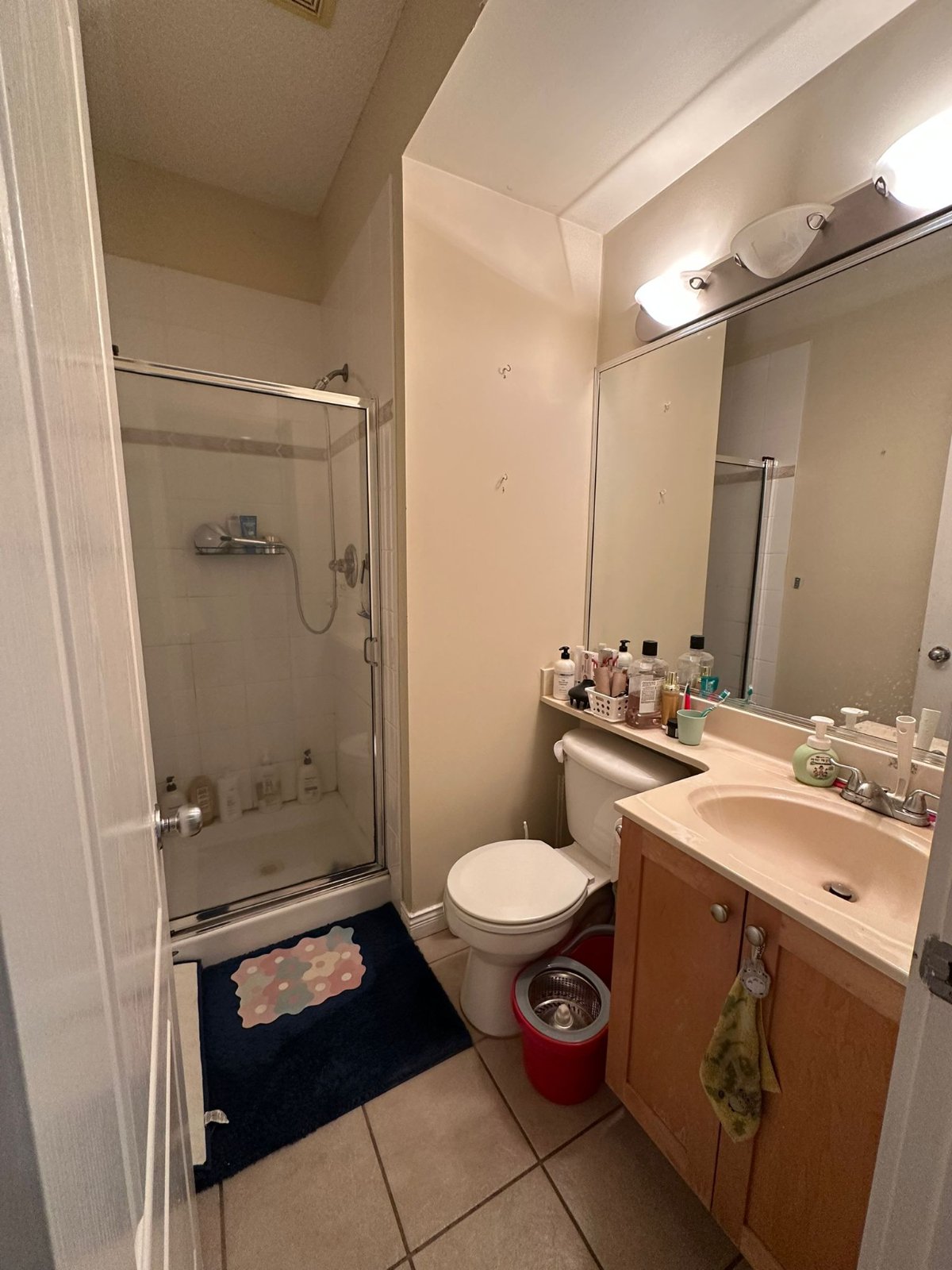 2 Bedroom Private Suite for Rent - Sussex Ave, Burnaby, BC 5