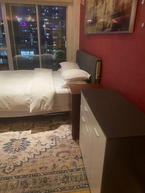 2 Bedroom Apartment for Rent - 933 Seymour St, Vancouver, BC 2