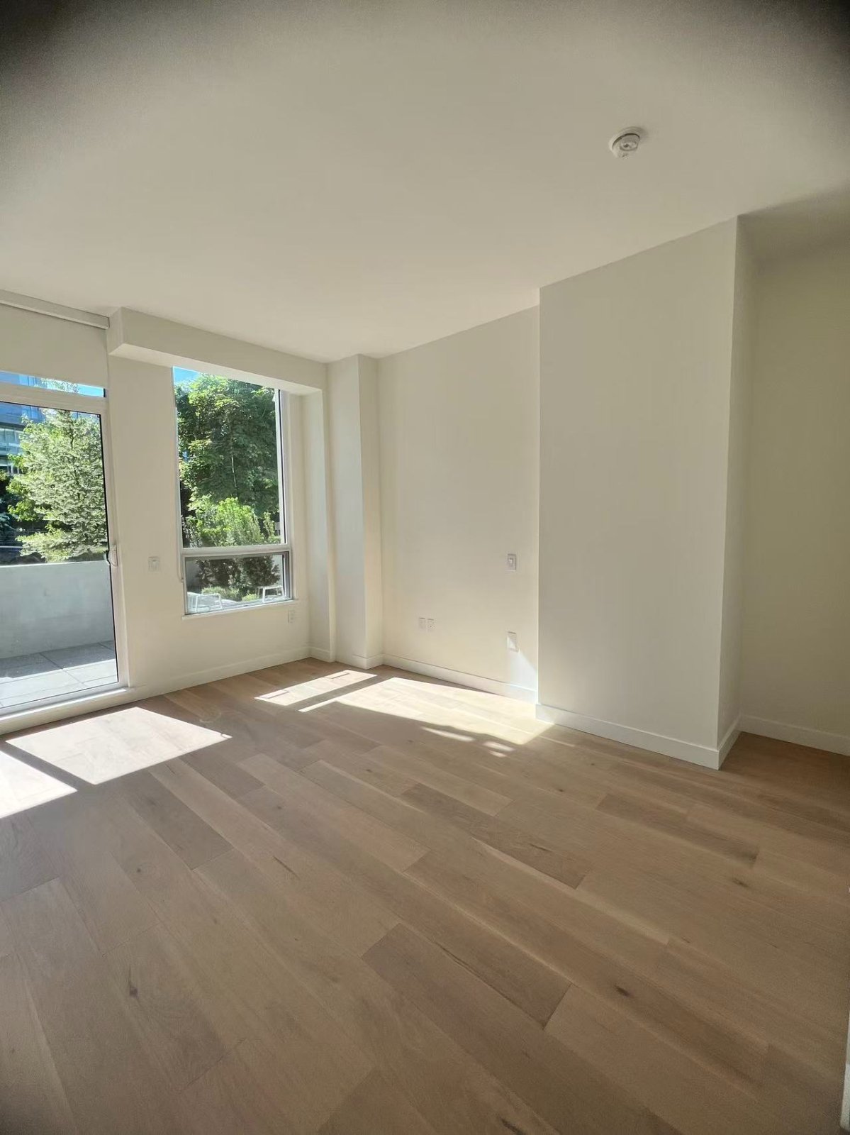 Studio Apartment for Rent - 5212 Cambie St, Vancouver, BC 3