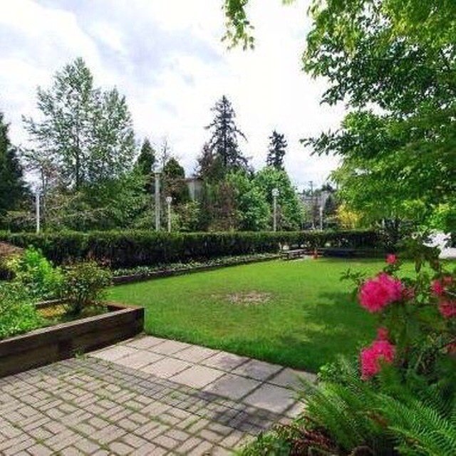 2 Bedroom Apartment for Rent - 14885 100 Ave, Surrey, BC 5