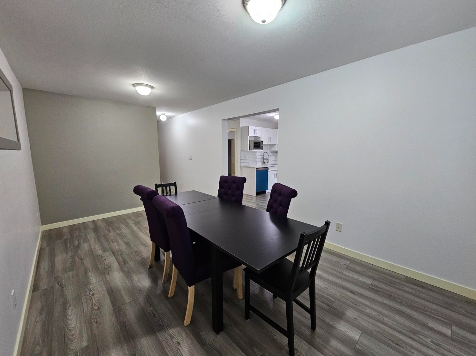 2 Bedroom Basement Suite for Rent - Burns St, Burnaby, BC 4