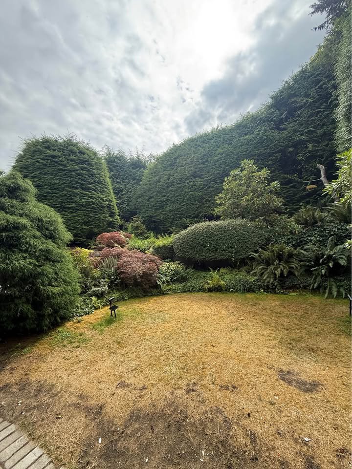 2 Bedroom House for Rent - Burley Dr, West Vancouver, BC 2