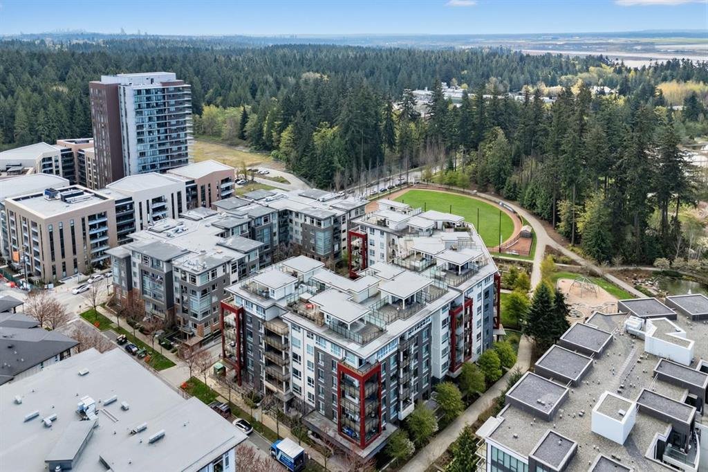 2 Bedroom Apartment for Rent - 3581 Ross Dr, Vancouver, BC 3