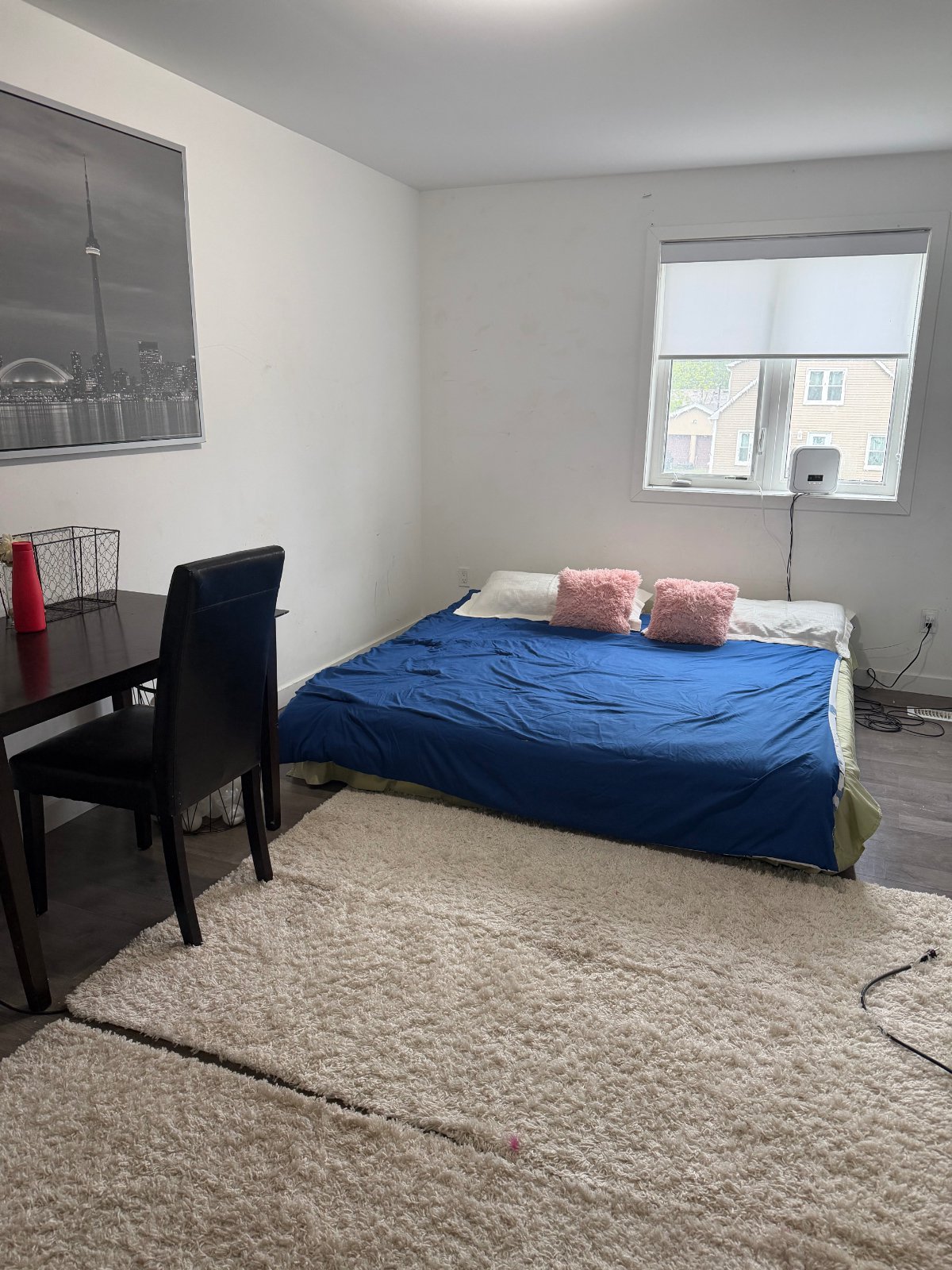 5 Bedroom House for Rent - Alberta St, Welland, ON 4
