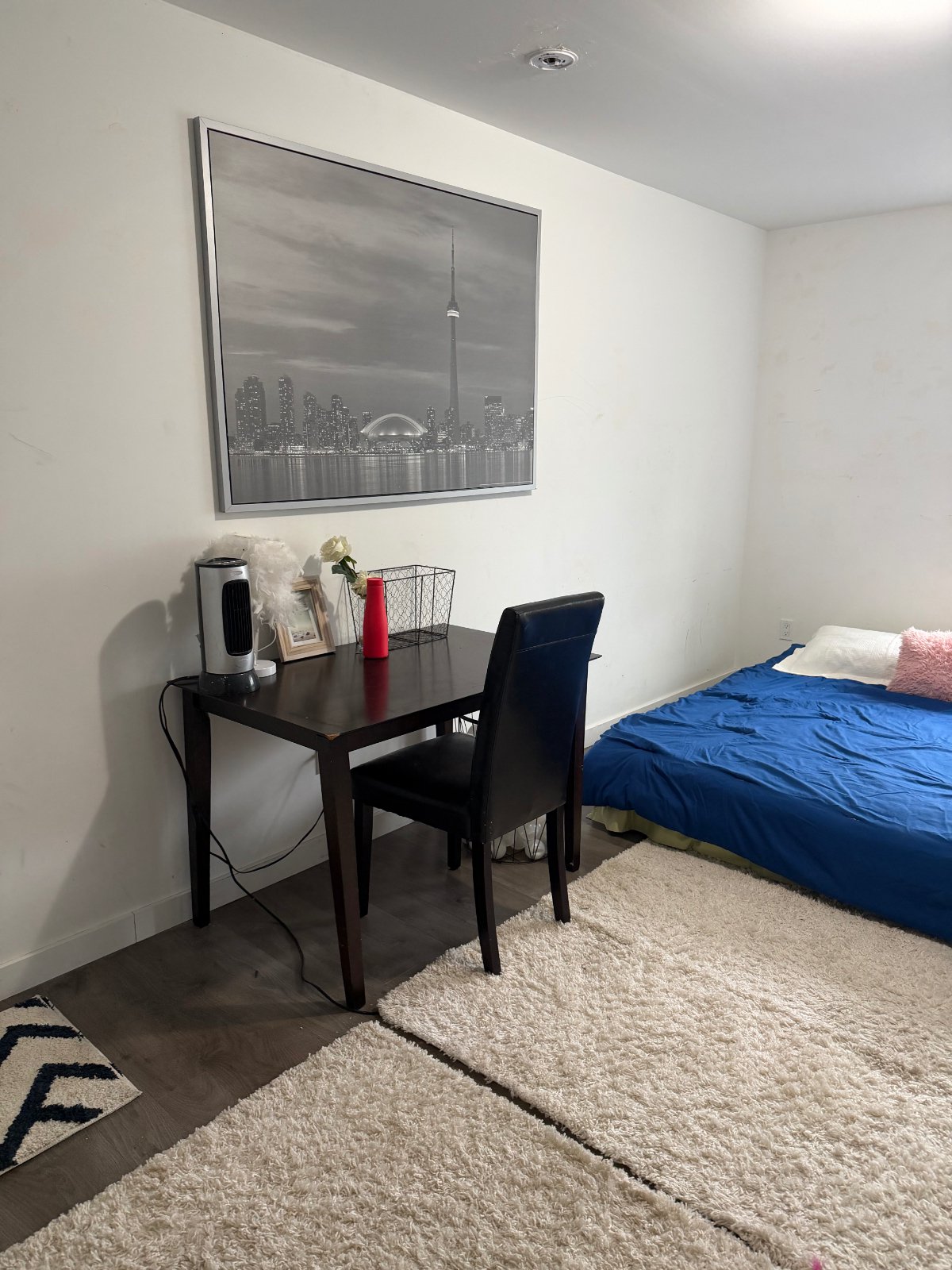5 Bedroom House for Rent - Alberta St, Welland, ON 5
