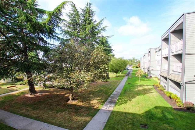2 Bedroom Apartment for Rent - 3451 Springfield Drive, Richmond, BC 4