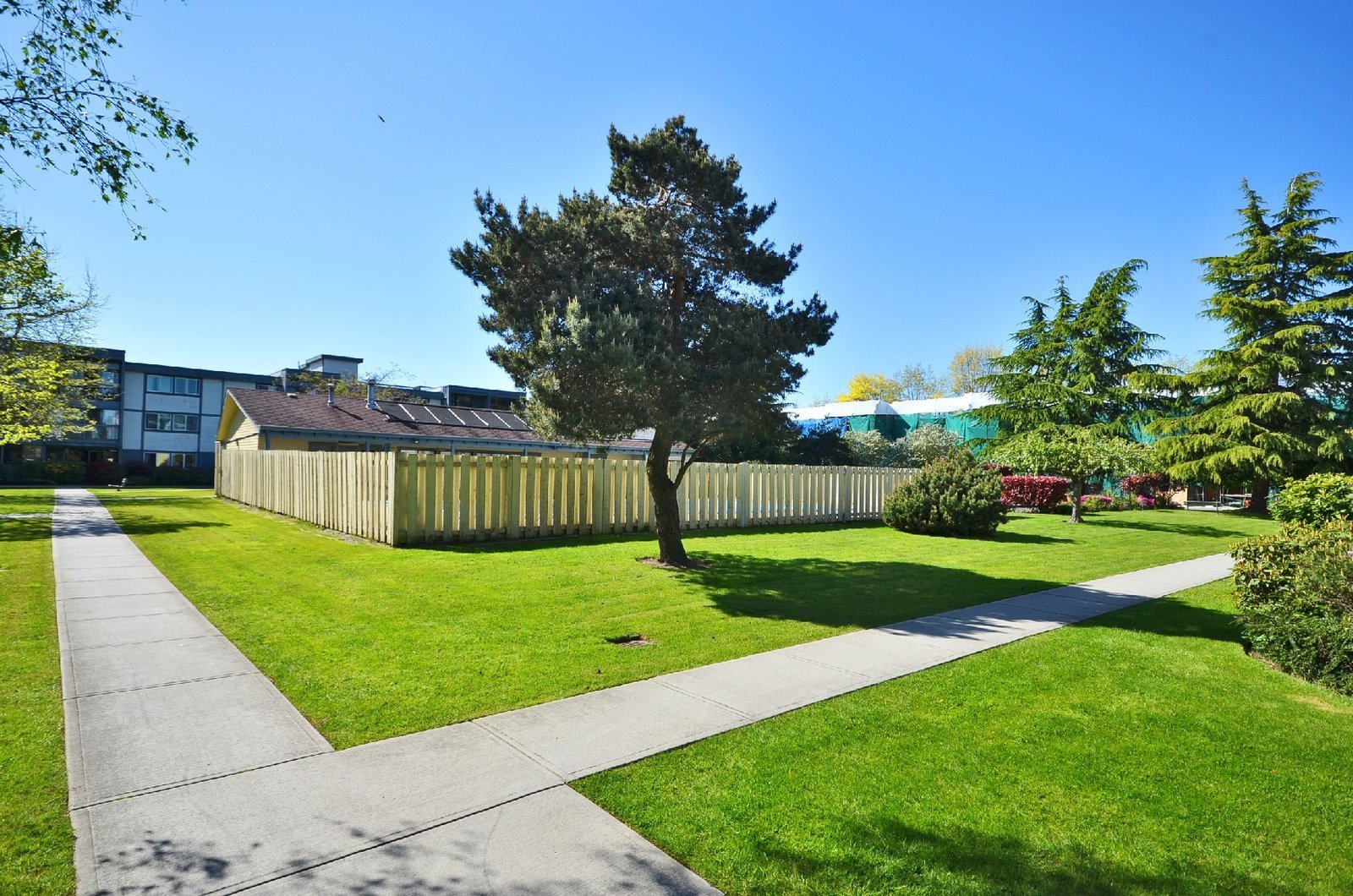 2 Bedroom Apartment for Rent - 3451 Springfield Drive, Richmond, BC 5