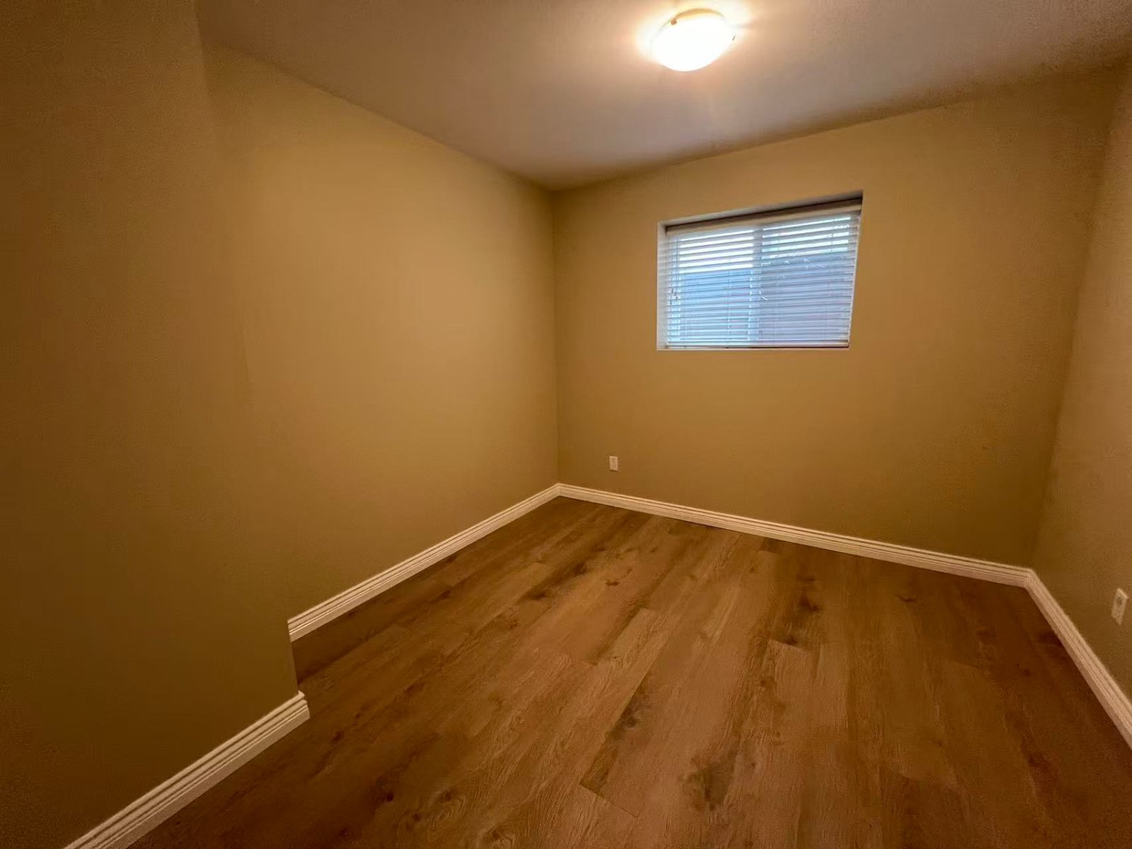 2 Bedroom Basement Suite for Rent - 197B St, Langley Twp, BC 4
