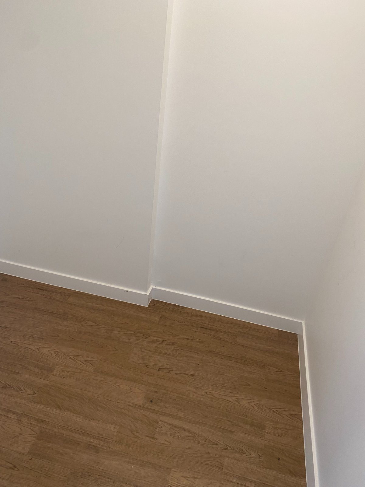 2 Bedroom Apartment for Rent - 124 Dunlevy Ave, Vancouver, BC 5