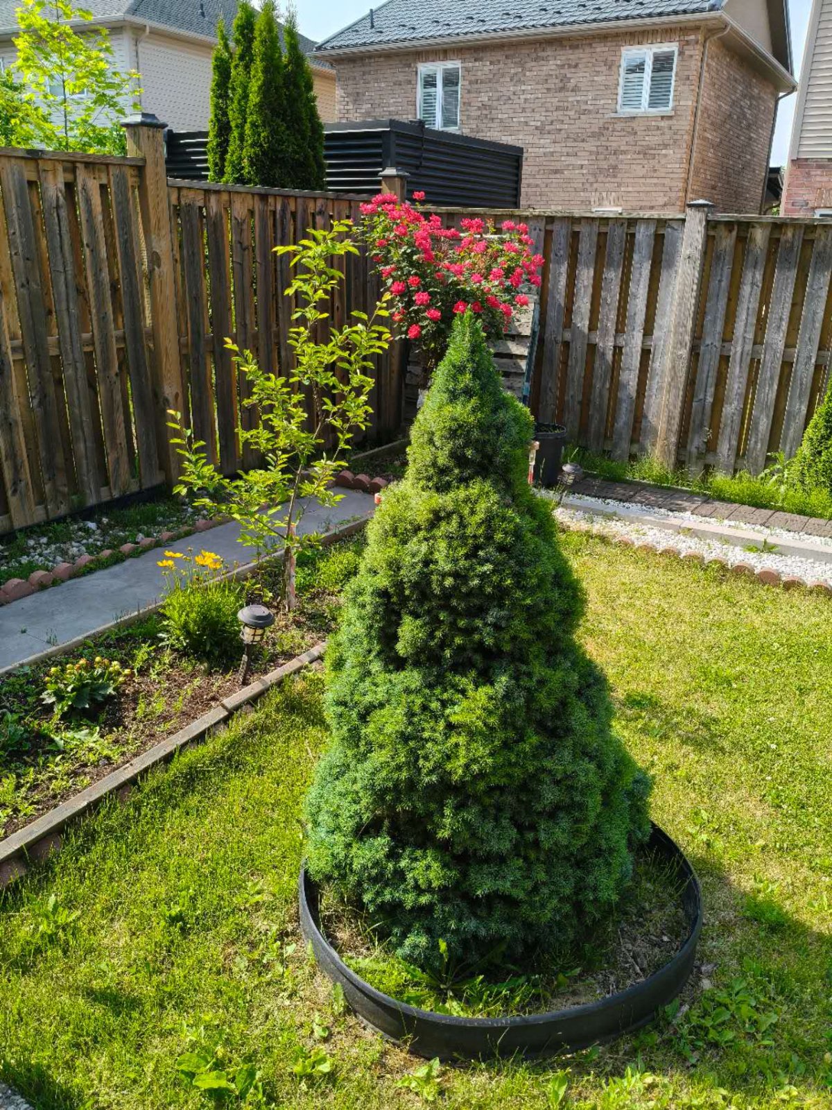 2 Bedroom Private Suite for Rent - Edgehill Dr, Hamilton, ON 3