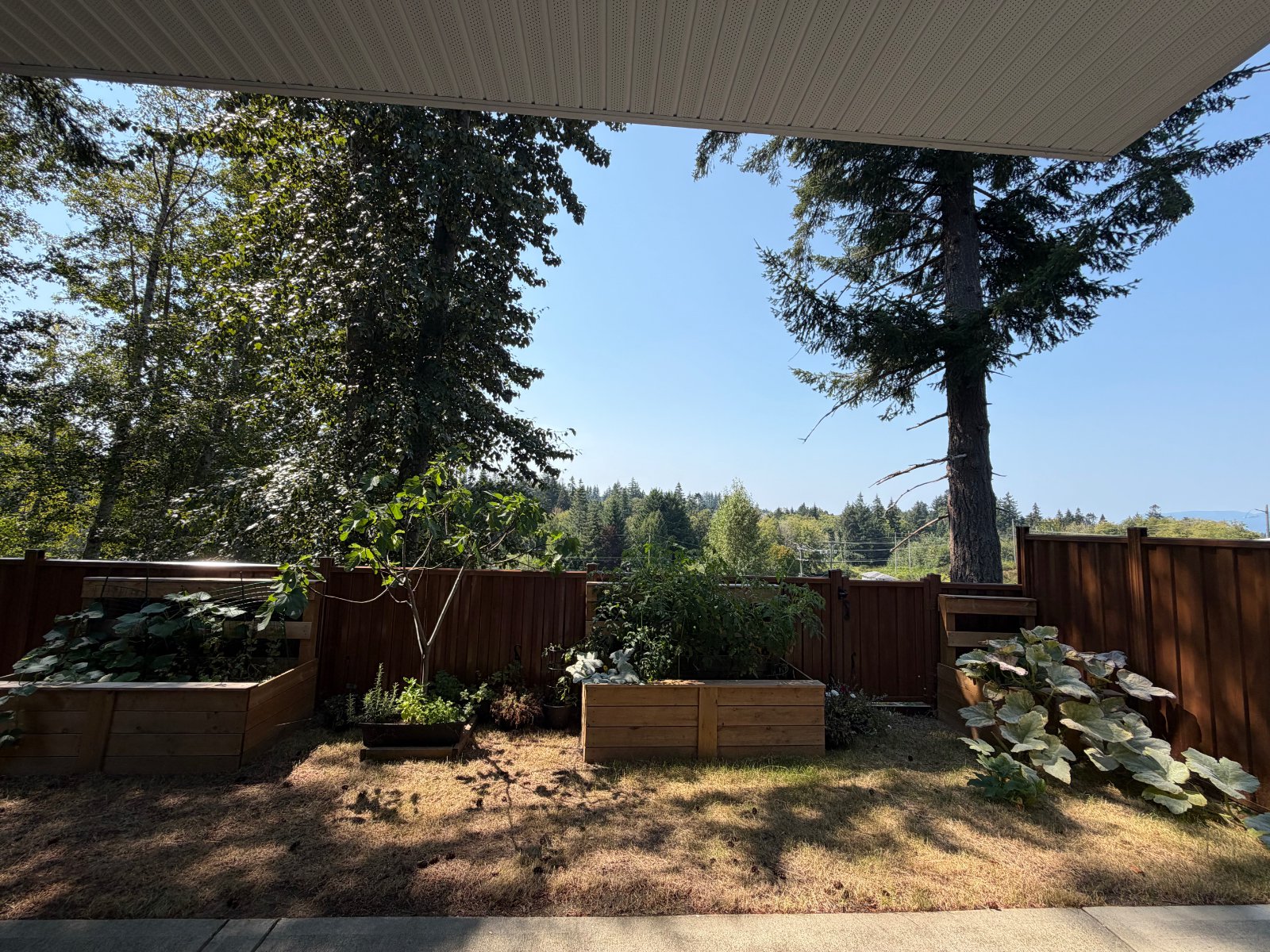 3 Bedroom House for Rent - 690 Smith Rd, Campbell River, BC 4