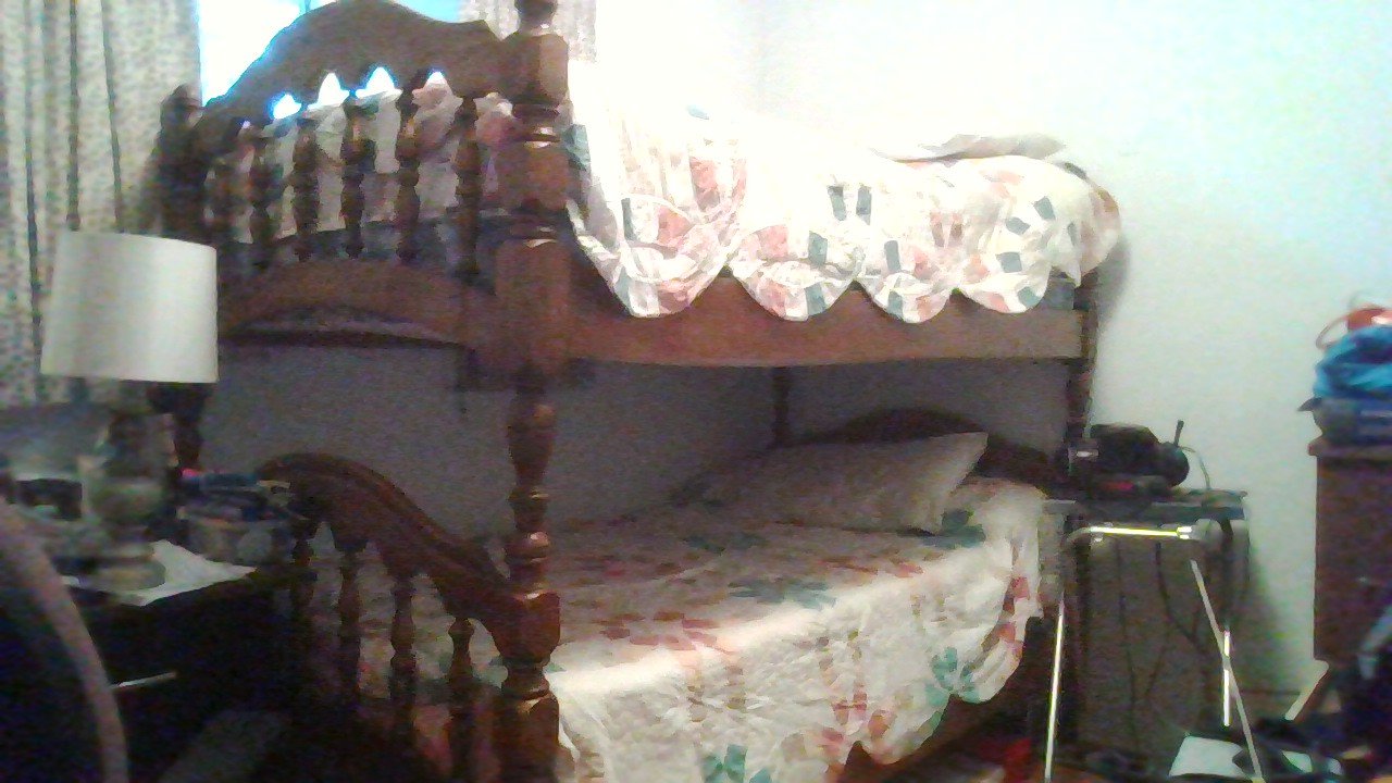 Room in House for Rent - 1176 Michael St, London, ON 3