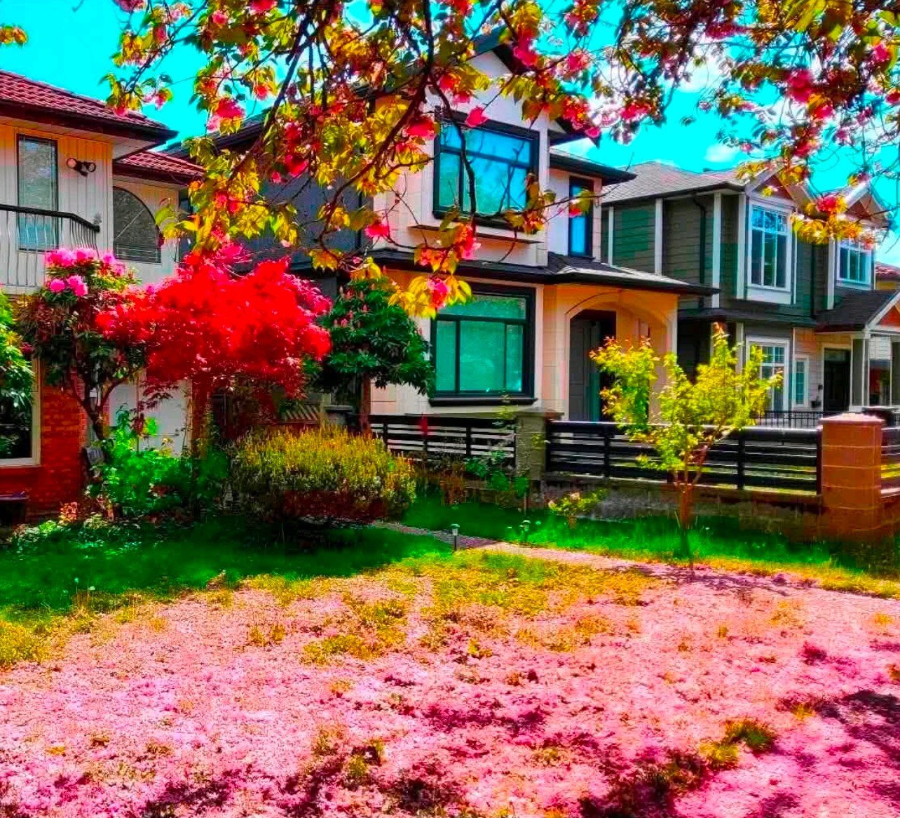 Room in House for Rent - 3070 E 7th Ave, Vancouver, BC 4