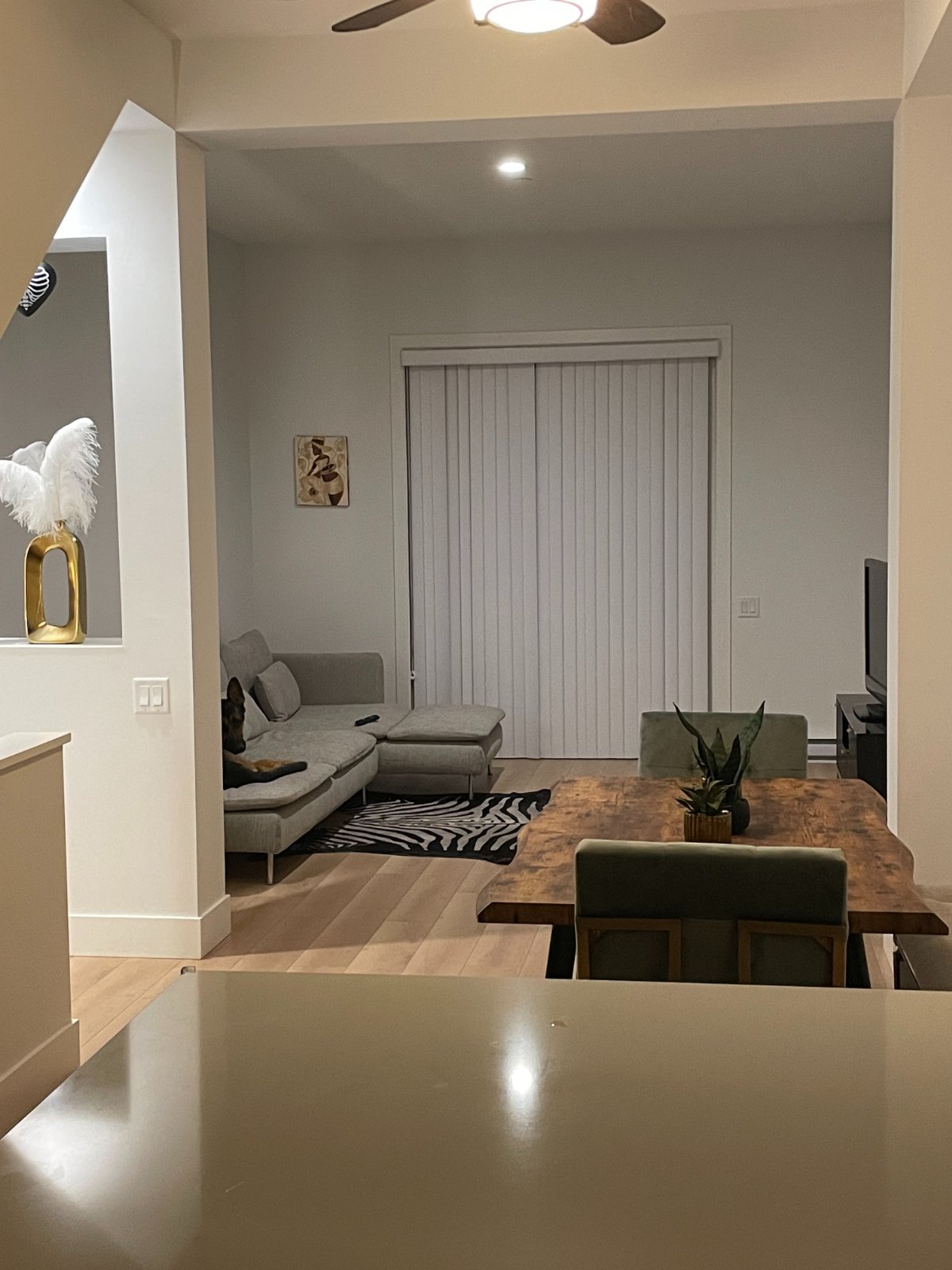Room in Townhouse for Rent - 4726 Ocar Way, Delta, BC 4