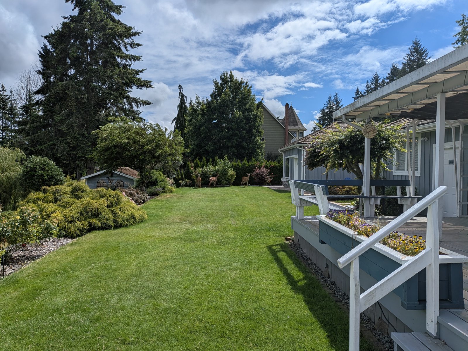 3 Bedroom House for Rent - 28 Ave, Langley Twp, BC 4