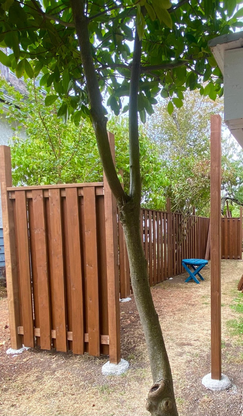 2 Bedroom Private Suite for Rent - Forbes St, Victoria, BC 3