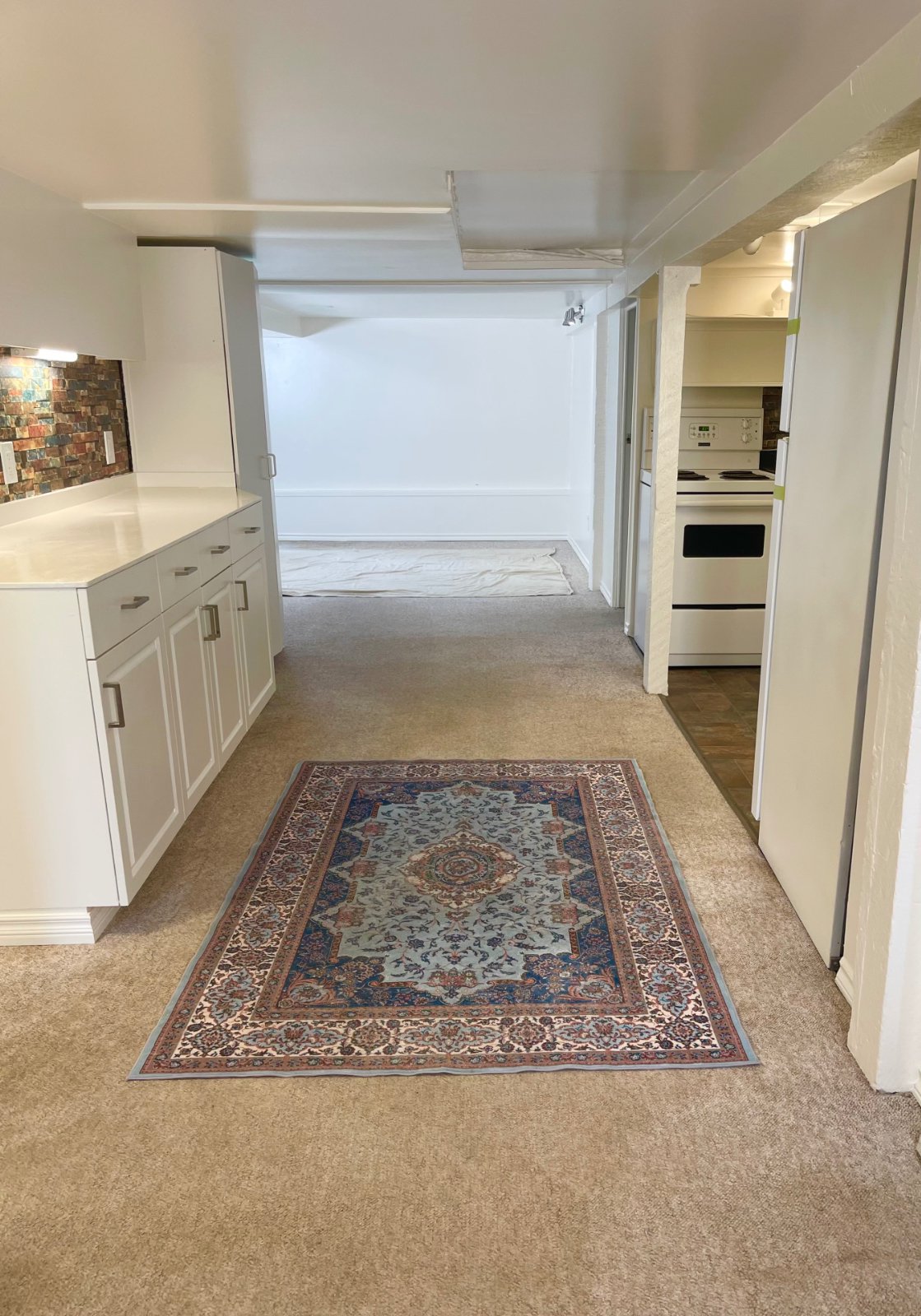 2 Bedroom Private Suite for Rent - Forbes St, Victoria, BC 4