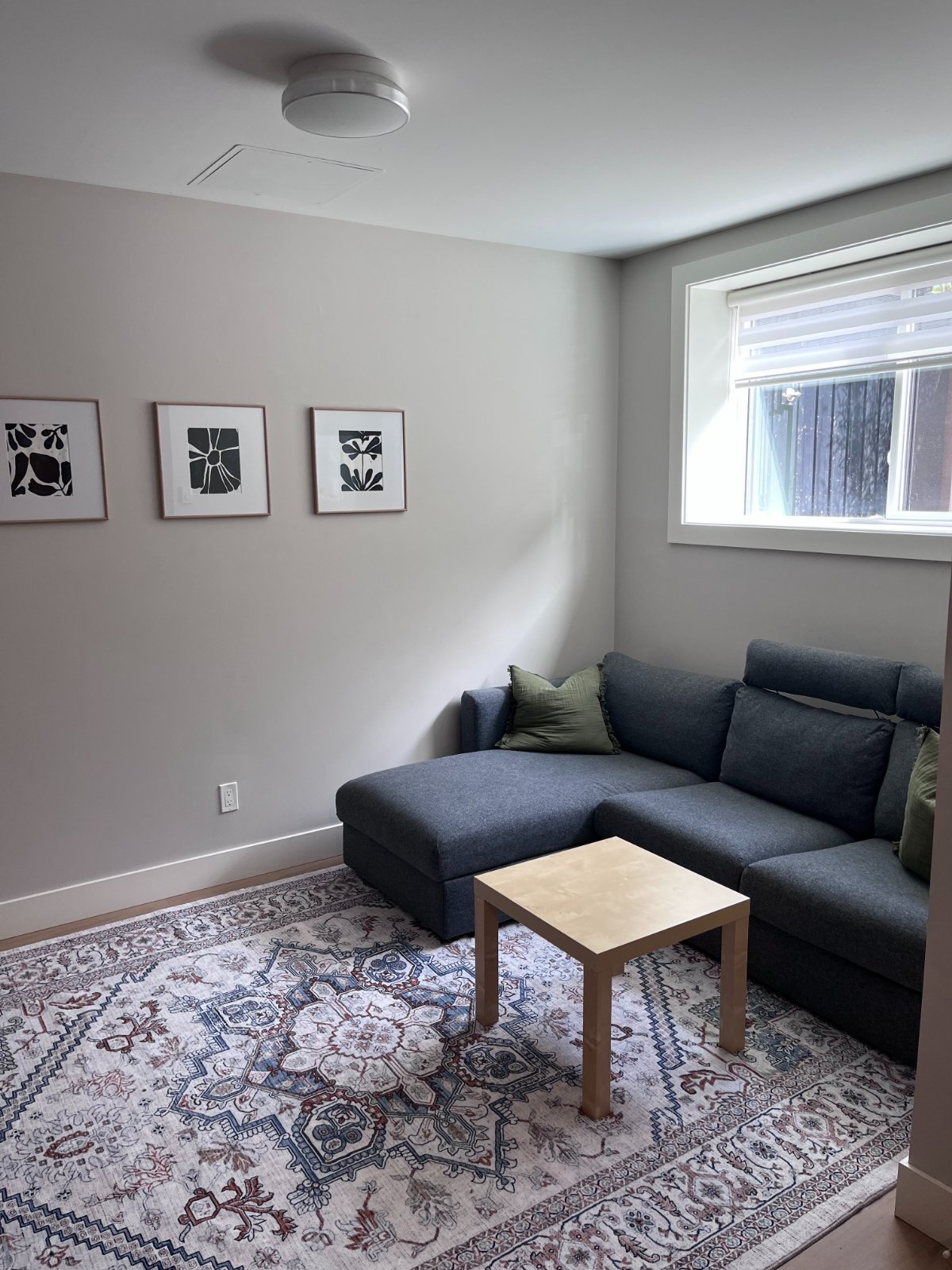 2 Bedroom Basement Suite for Rent - viewlynn crescent, north vancouver, North Vancouver, BC 2