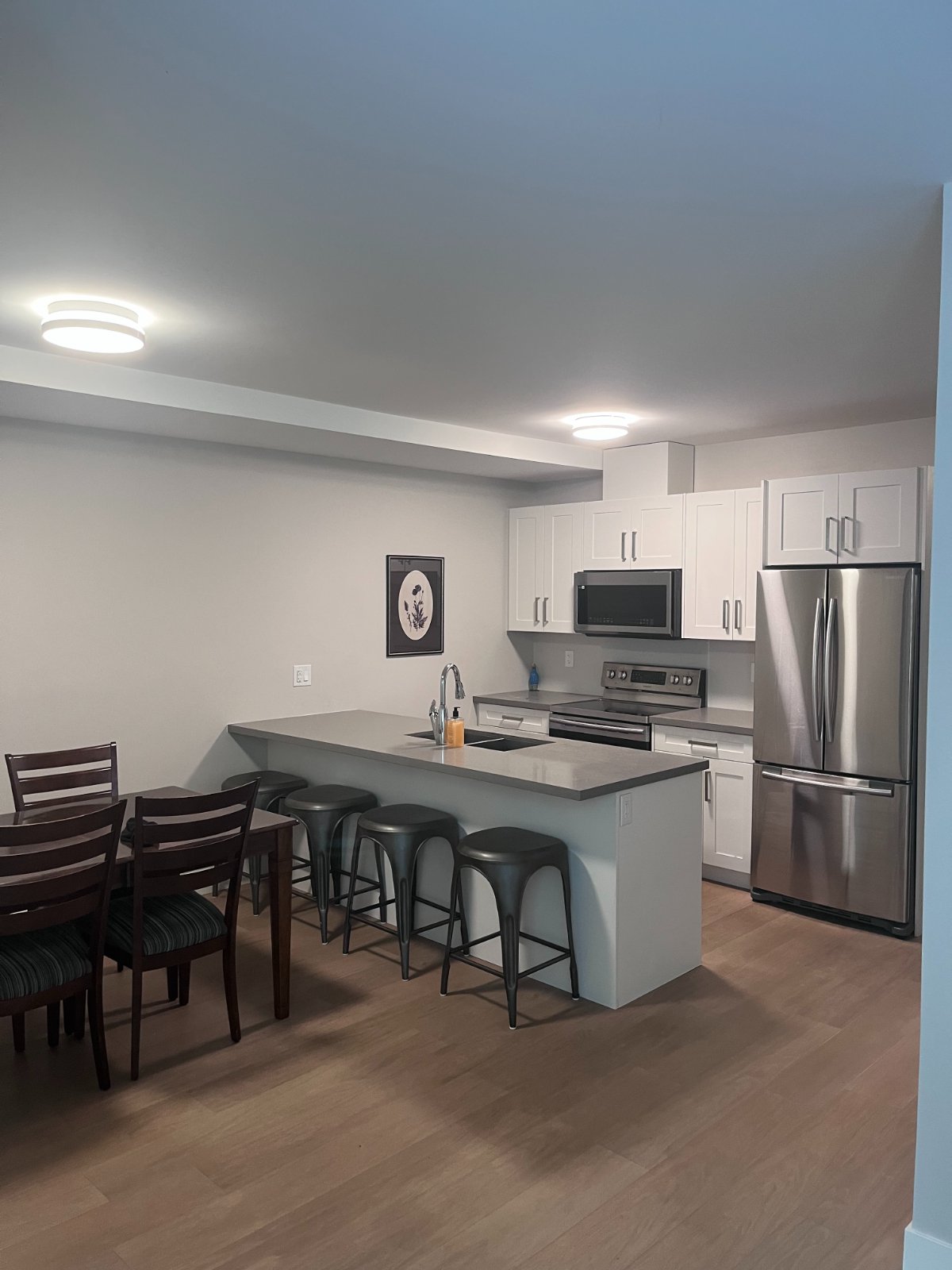 2 Bedroom Basement Suite for Rent - viewlynn crescent, north vancouver, North Vancouver, BC 4