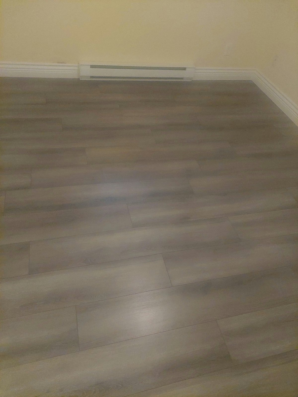 2 Bedroom Basement Suite for Rent - 19439 66 Ave, Surrey, BC 3