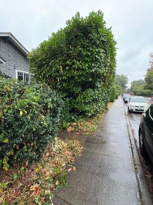 3 Bedroom Private Suite for Rent - W 16th Ave, Vancouver, BC