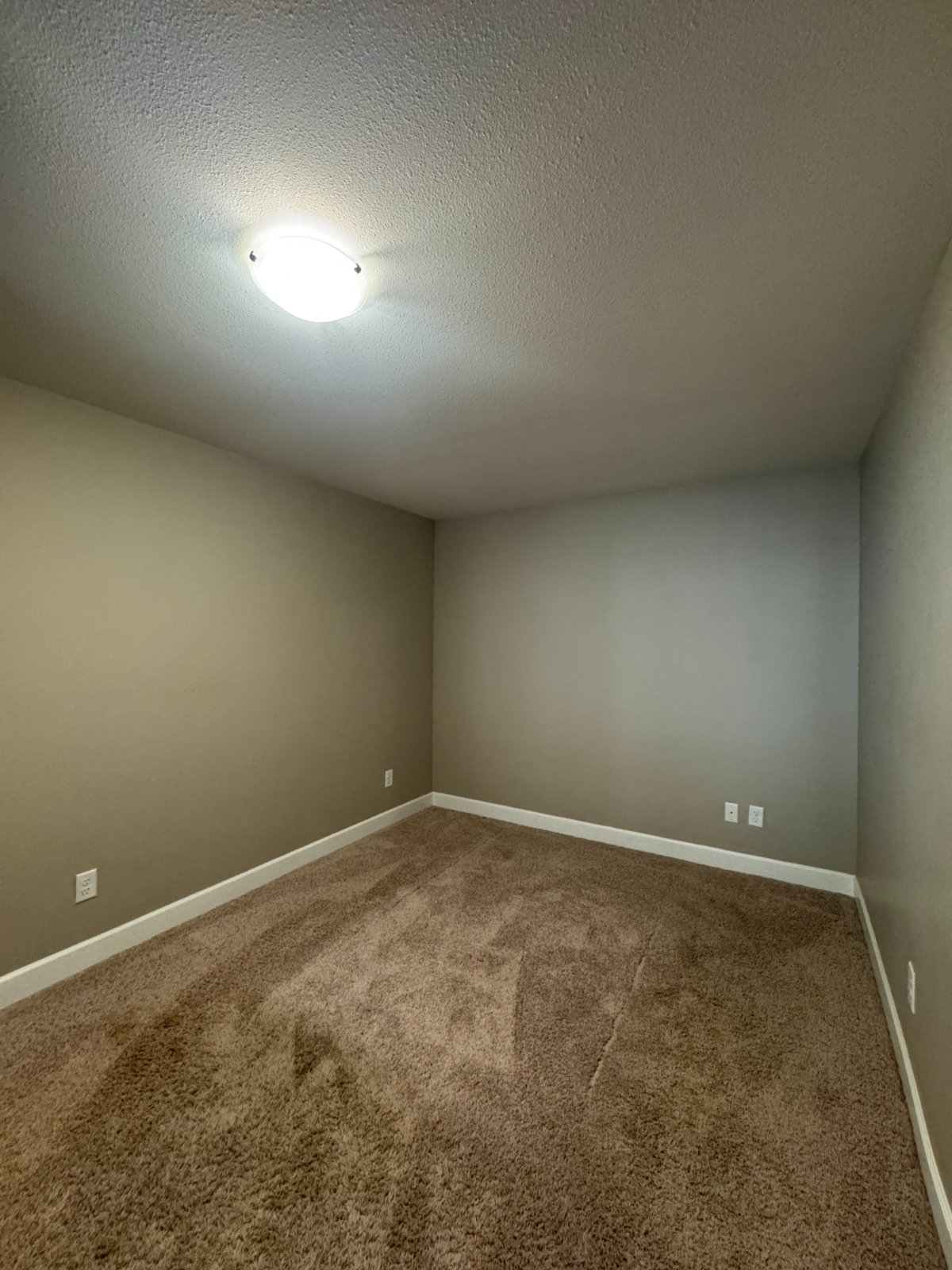 2 Bedroom Basement Suite for Rent - Hames Cres, Coquitlam, BC 4