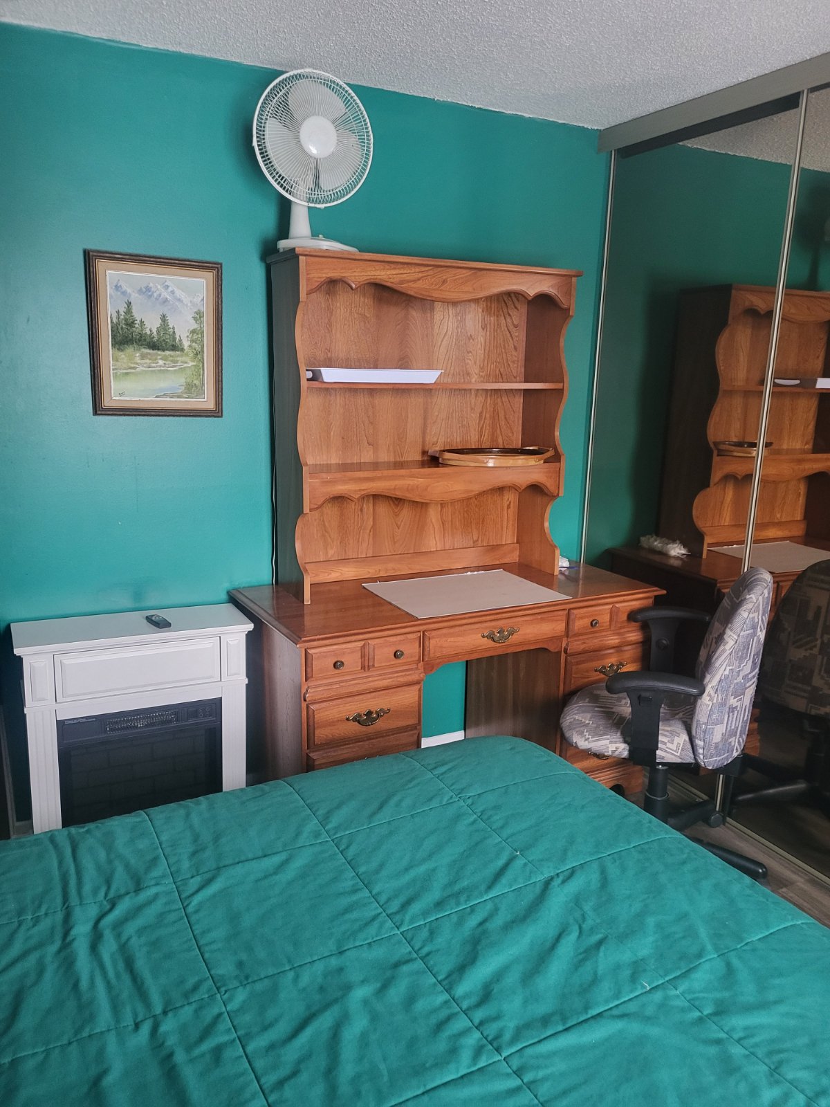 Room in House for Rent - 67 Tarquin Cres, Nepean, ON 3