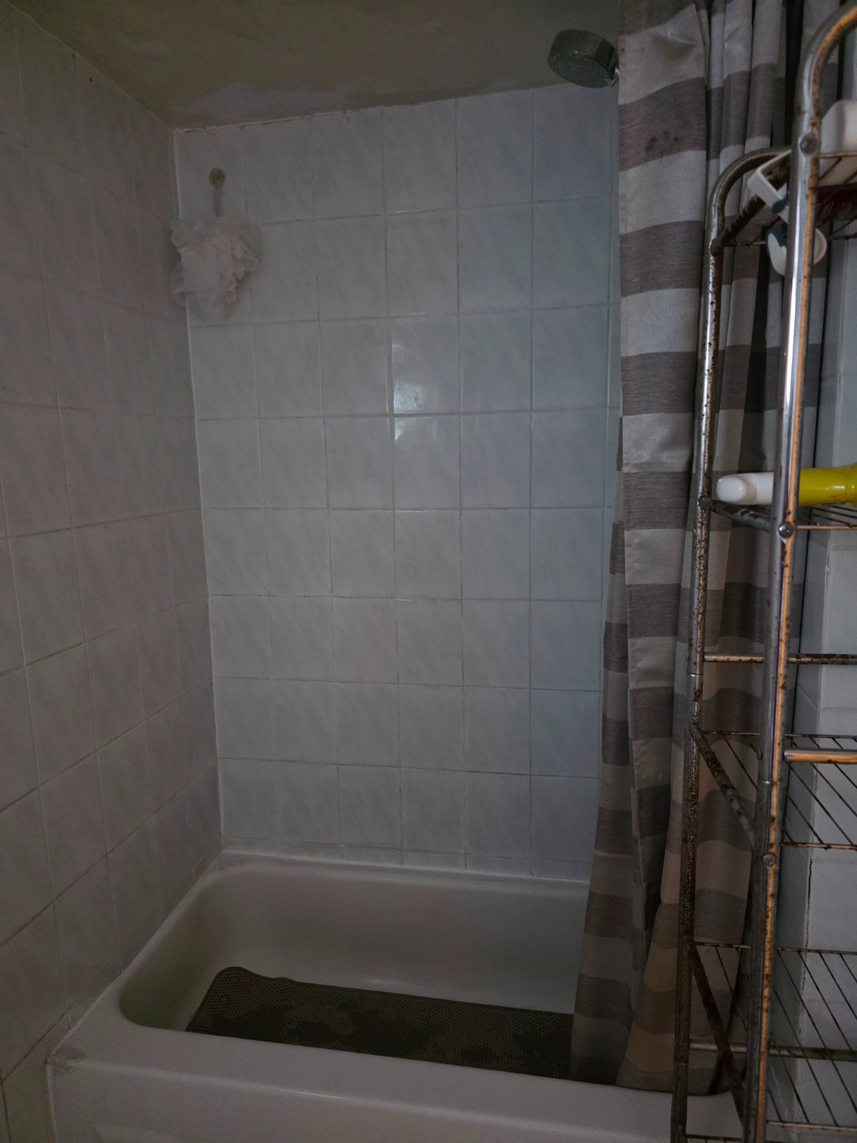 Room in House for Rent - 109 Navenby Cres, York, ON 5