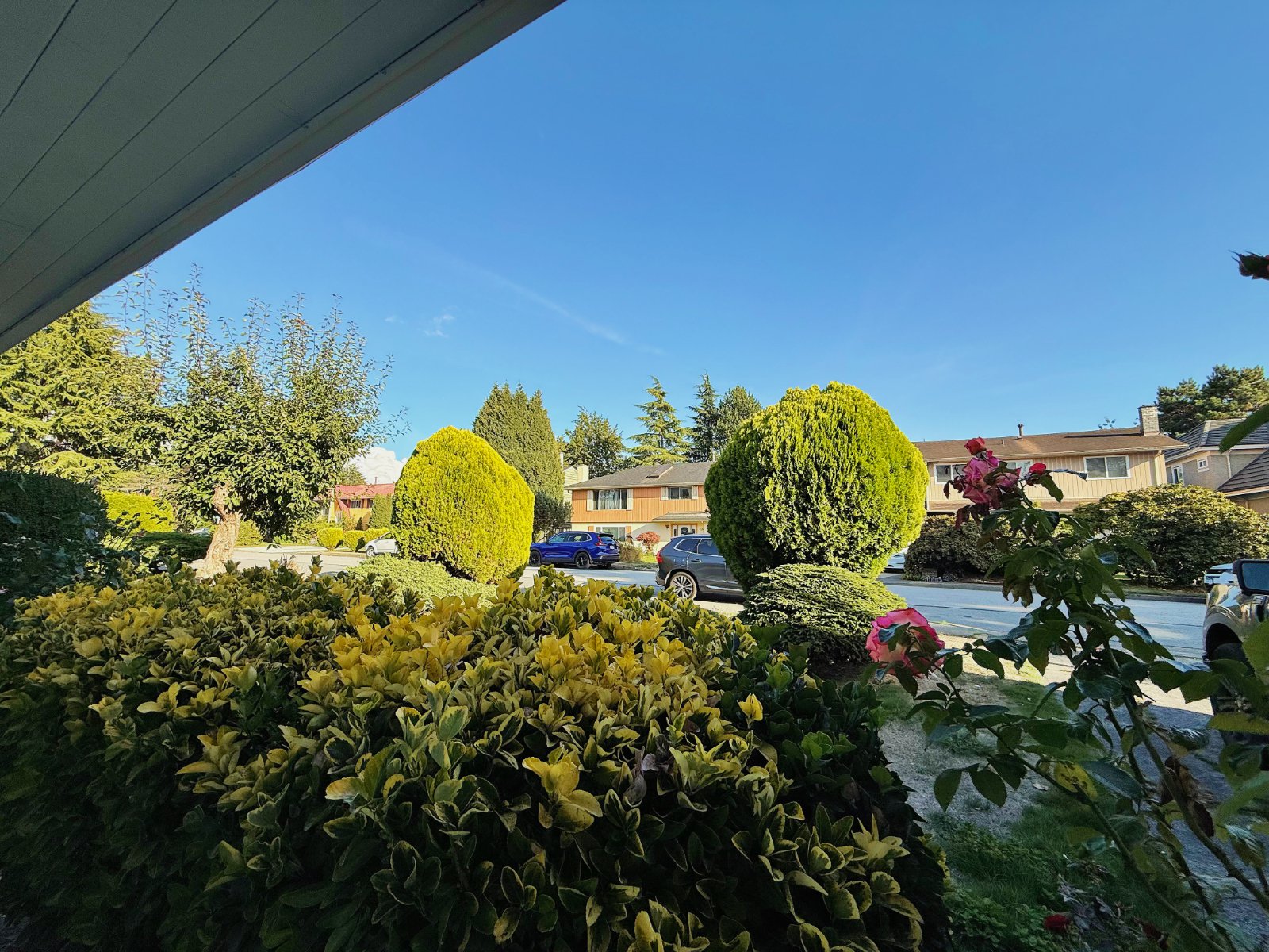 4 Bedroom House for Rent - 6151 Nanika Cres, Richmond, BC 3