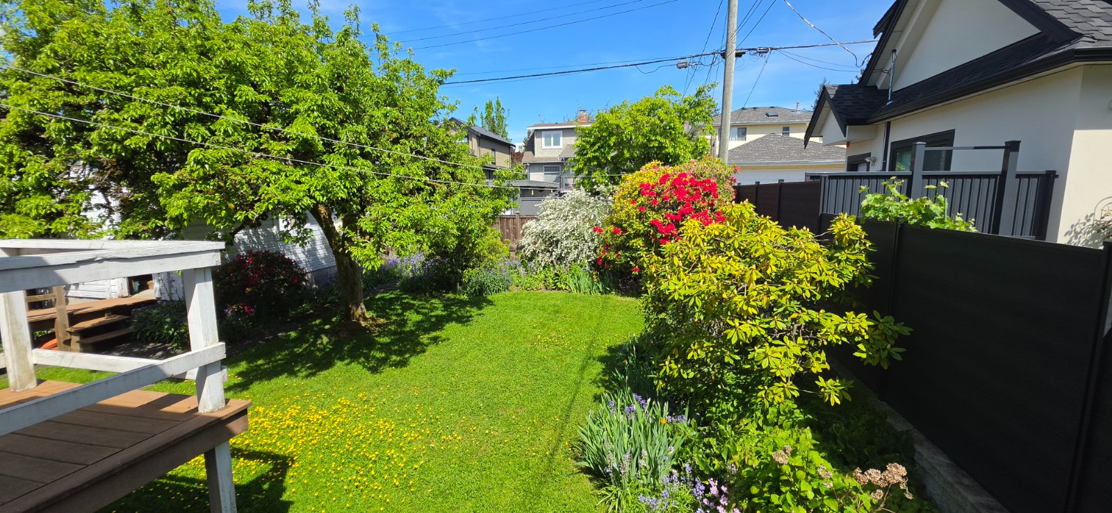 4 Bedroom House for Rent - 1969 W 43rd Ave, Vancouver, BC 5
