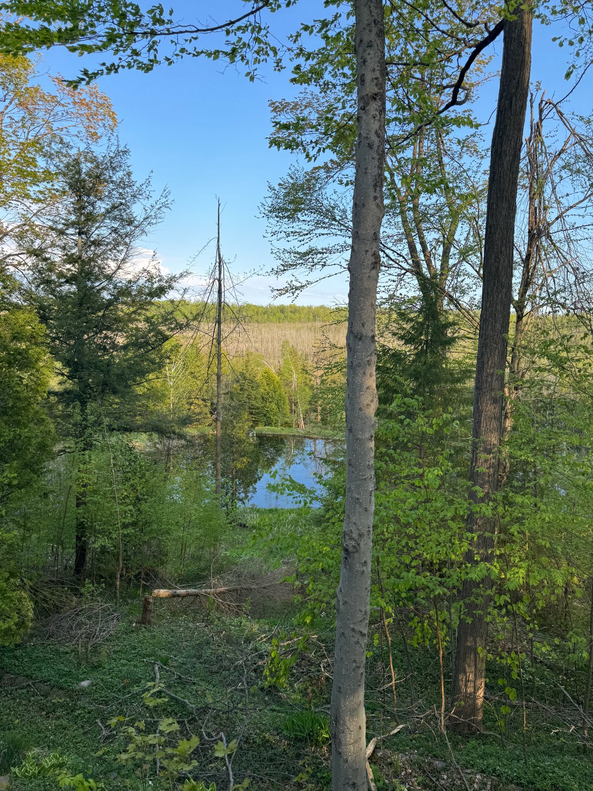 Room in House for Rent - 2695 Old Barrie Rd E, Oro-Medonte, ON 3
