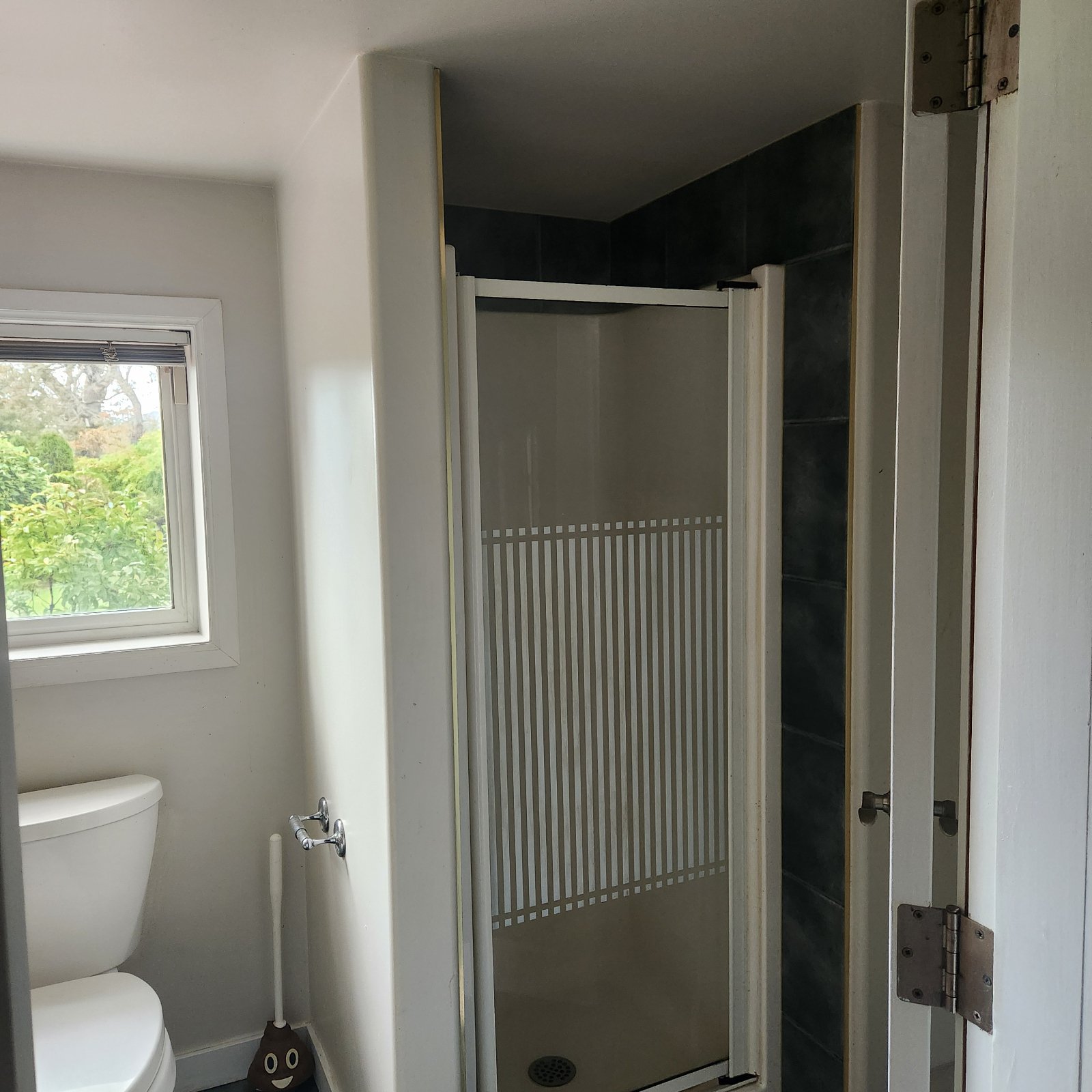 1 Bedroom Apartment for Rent - Falmouth Rd, Saanich, BC 1