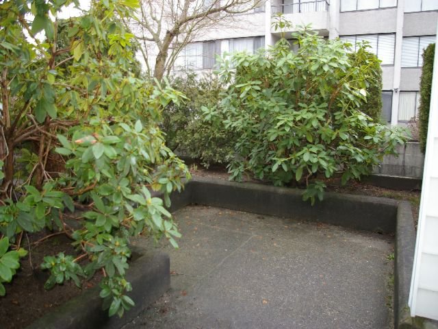 Studio Apartment for Rent - 707 Eighth Street, New Westminster, BC 2