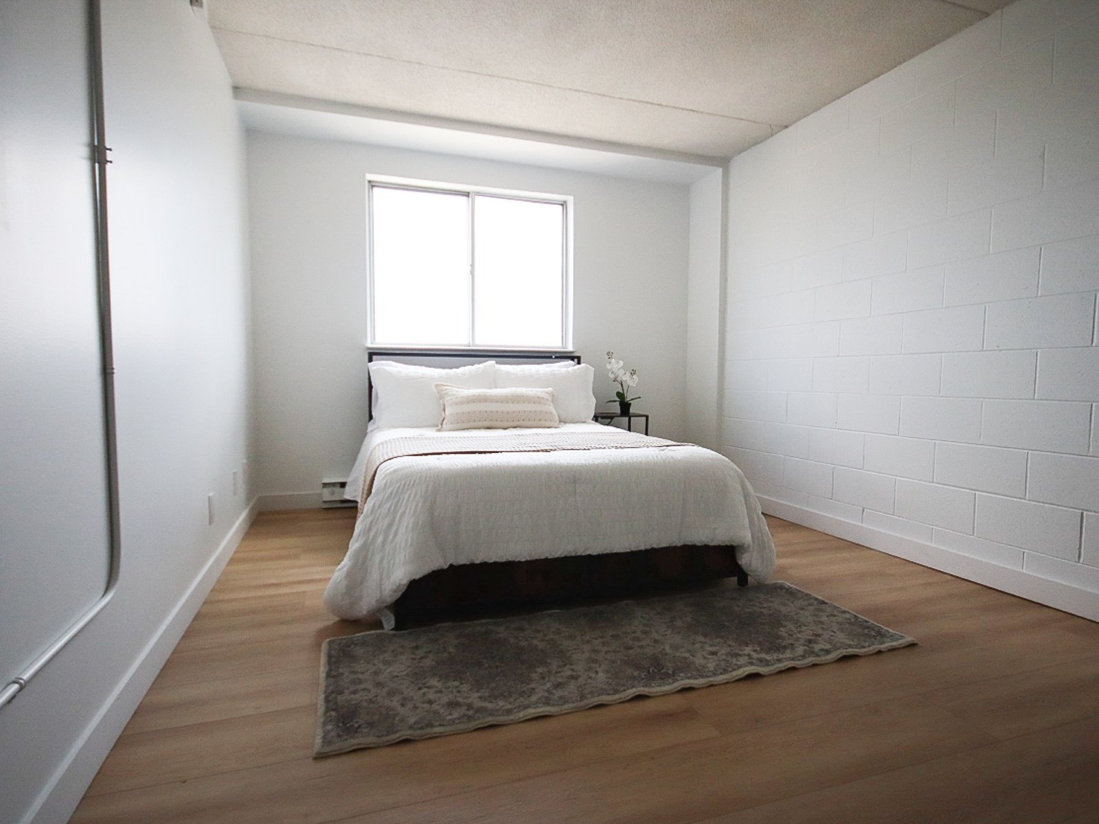 4 Bedroom Apartment for Rent - 50 University Ave E, Waterloo, ON 3