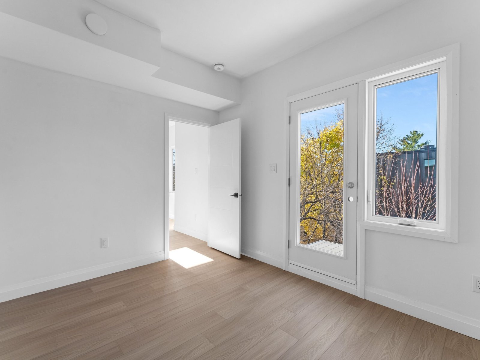 Studio Apartment for Rent - 368 Tweedsmuir Avenue, Ottawa, ON 2