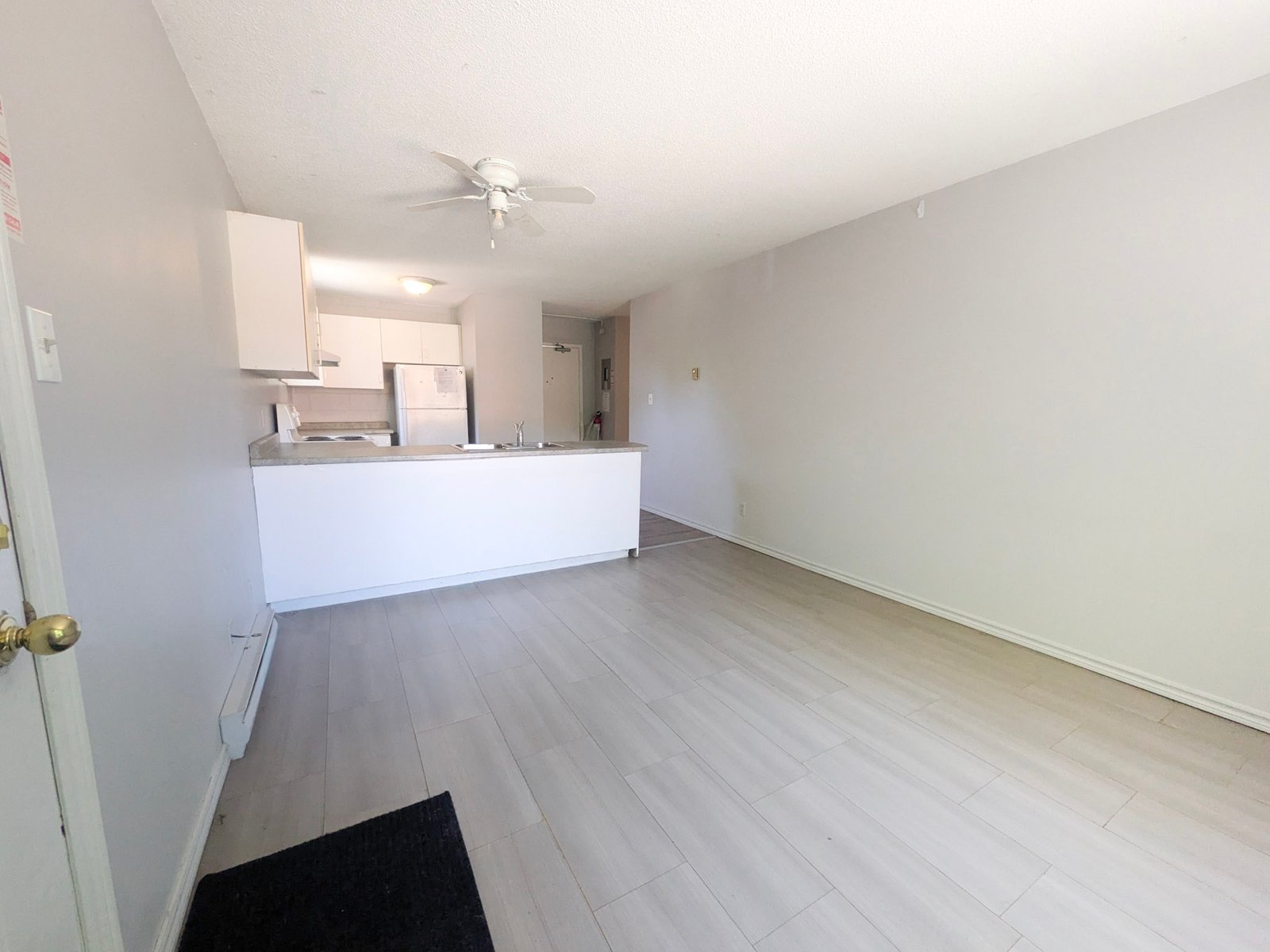 5 Bedroom Apartment for Rent - 32 Noecker St, Waterloo, ON 2