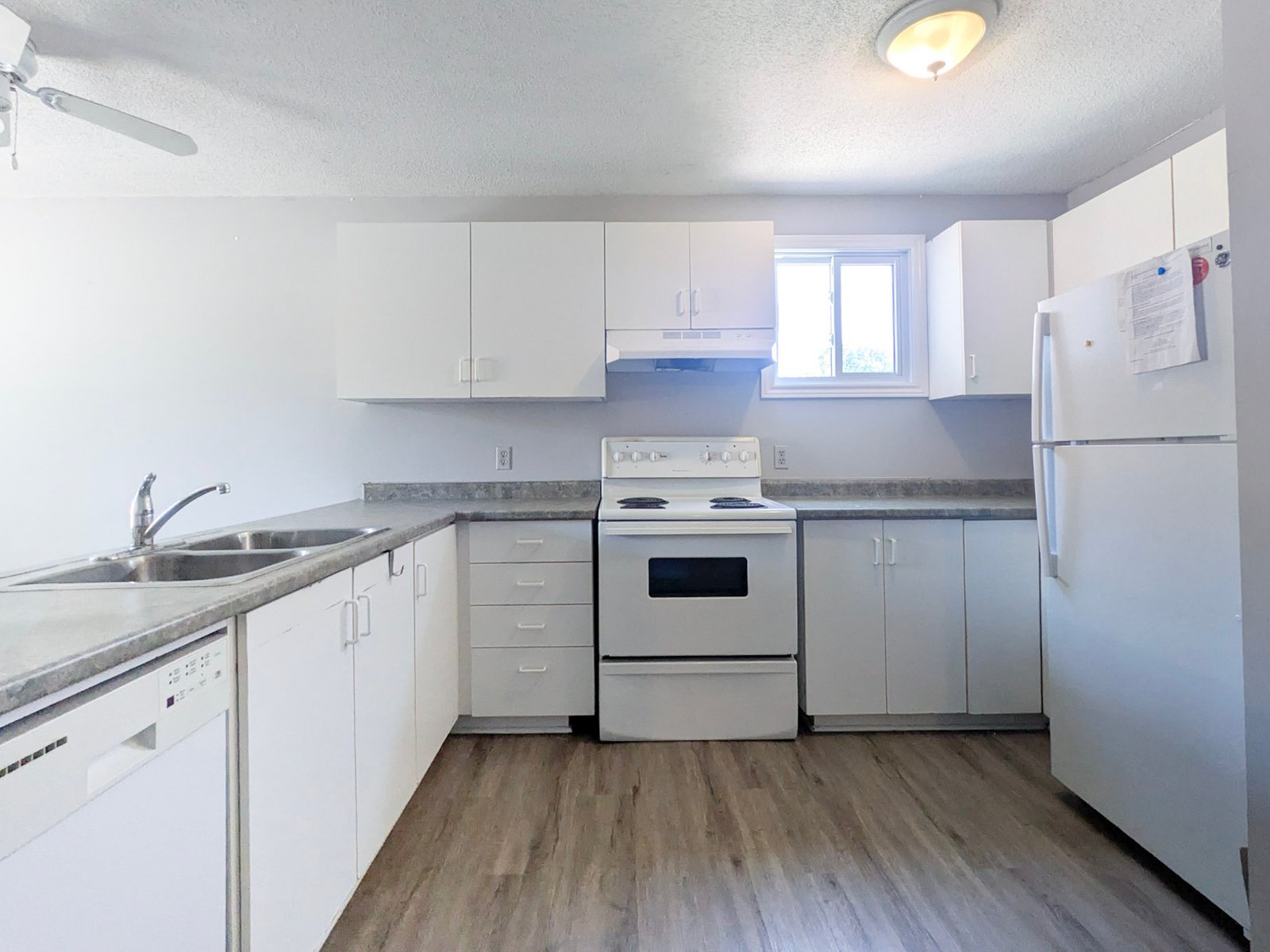 5 Bedroom Apartment for Rent - 32 Noecker St, Waterloo, ON 3